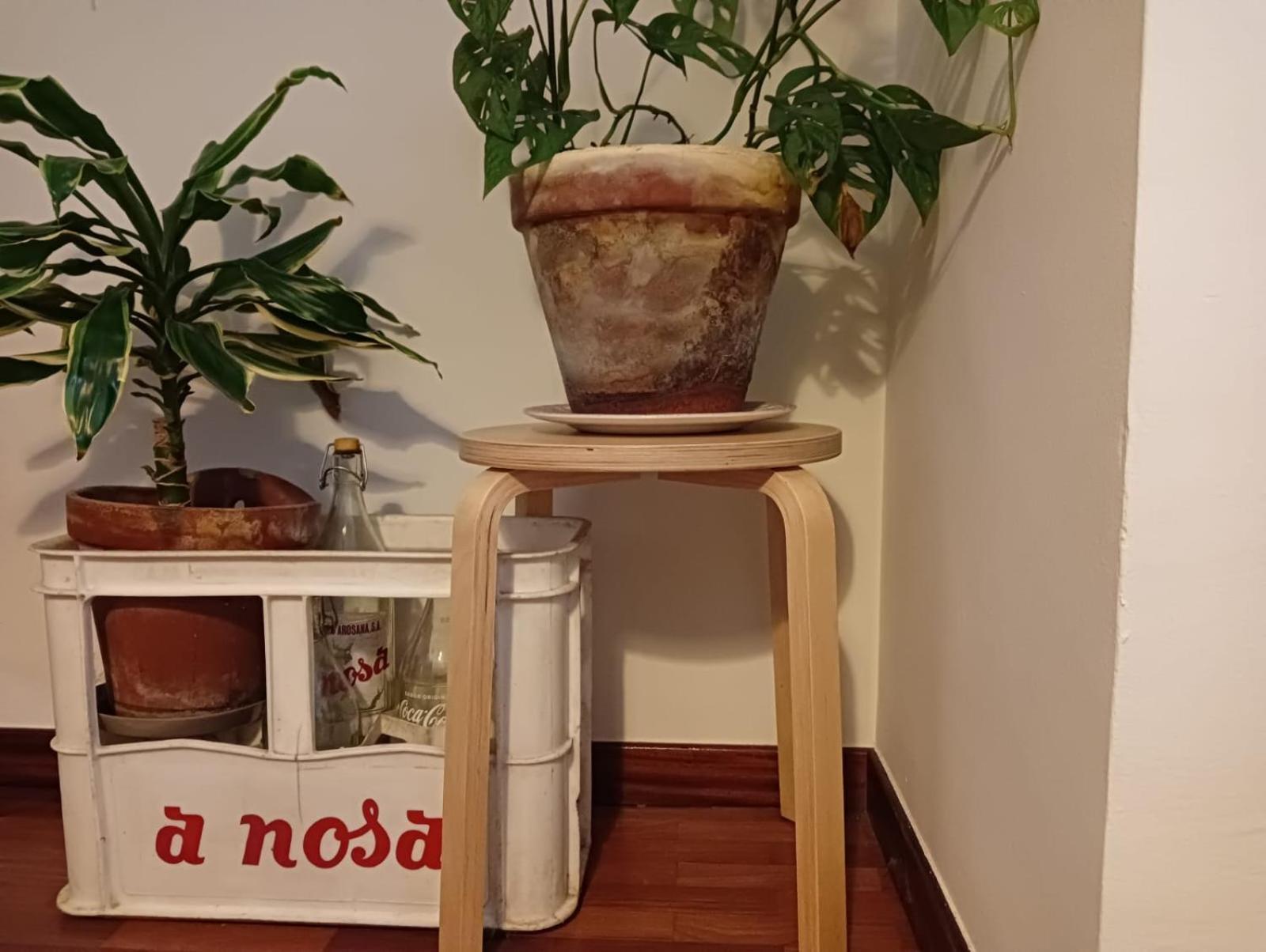 La Maceta Διαμέρισμα Vilagarcia de Arousa Εξωτερικό φωτογραφία